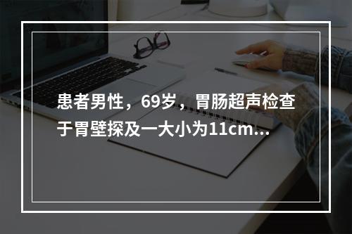 患者男性，69岁，胃肠超声检查于胃壁探及一大小为11cm×9