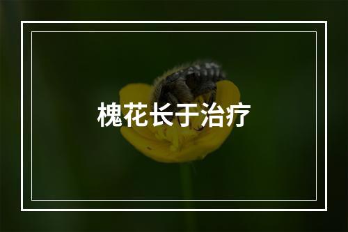 槐花长于治疗