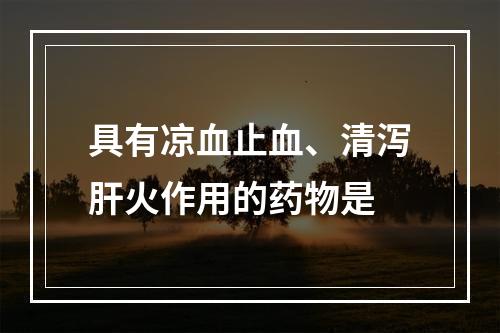 具有凉血止血、清泻肝火作用的药物是