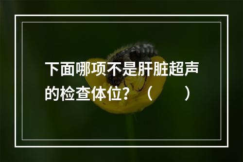 下面哪项不是肝脏超声的检查体位？（　　）