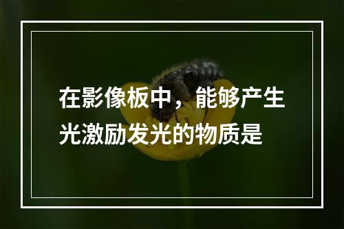 在影像板中，能够产生光激励发光的物质是