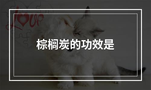 棕榈炭的功效是