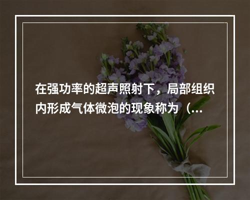 在强功率的超声照射下，局部组织内形成气体微泡的现象称为（　　