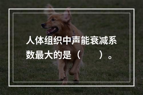 人体组织中声能衰减系数最大的是（　　）。