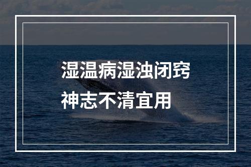 湿温病湿浊闭窍神志不清宜用