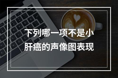 下列哪一项不是小肝癌的声像图表现