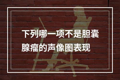 下列哪一项不是胆囊腺瘤的声像图表现