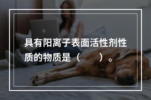 具有阳离子表面活性剂性质的物质是（　　）。