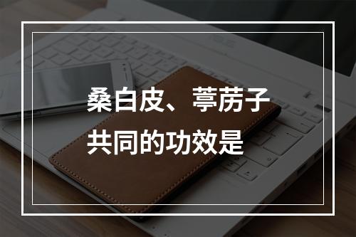 桑白皮、葶苈子共同的功效是