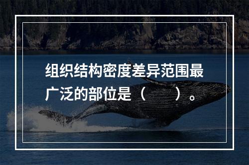 组织结构密度差异范围最广泛的部位是（　　）。