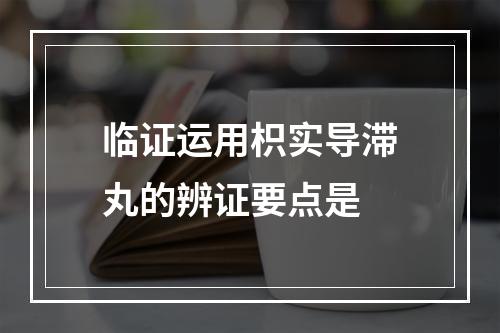 临证运用枳实导滞丸的辨证要点是