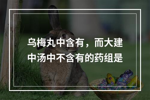 乌梅丸中含有，而大建中汤中不含有的药组是