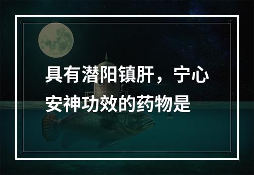 具有潜阳镇肝，宁心安神功效的药物是