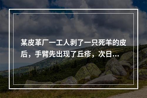 某皮革厂一工人剥了一只死羊的皮后，手臂先出现了丘疹，次日疹