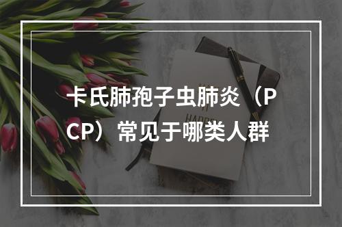 卡氏肺孢子虫肺炎（PCP）常见于哪类人群