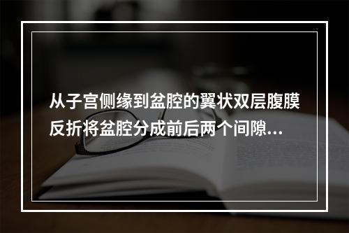 从子宫侧缘到盆腔的翼状双层腹膜反折将盆腔分成前后两个间隙，这