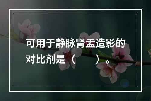 可用于静脉肾盂造影的对比剂是（　　）。