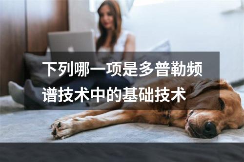 下列哪一项是多普勒频谱技术中的基础技术