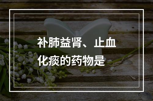 补肺益肾、止血化痰的药物是