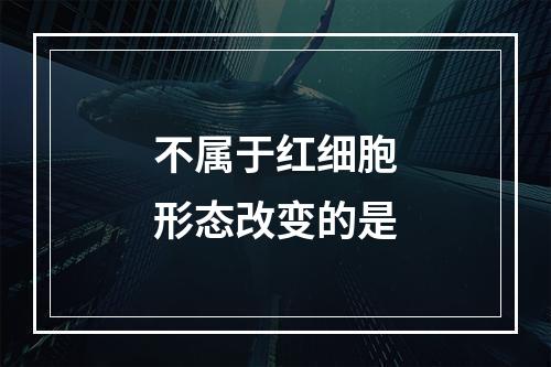 不属于红细胞形态改变的是