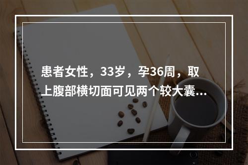 患者女性，33岁，孕36周，取上腹部横切面可见两个较大囊泡，