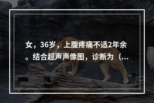 女，36岁，上腹疼痛不适2年余。结合超声声像图，诊断为（　　