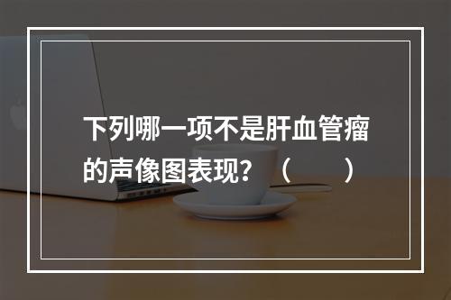 下列哪一项不是肝血管瘤的声像图表现？（　　）