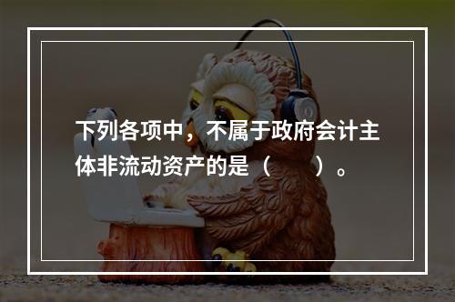 下列各项中，不属于政府会计主体非流动资产的是（　　）。