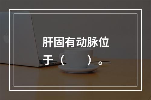 肝固有动脉位于（　　）。