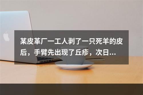 某皮革厂一工人剥了一只死羊的皮后，手臂先出现了丘疹，次日疹