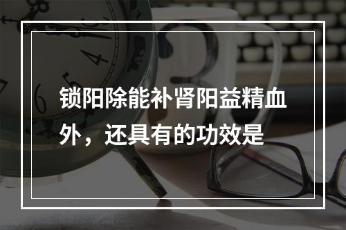 锁阳除能补肾阳益精血外，还具有的功效是