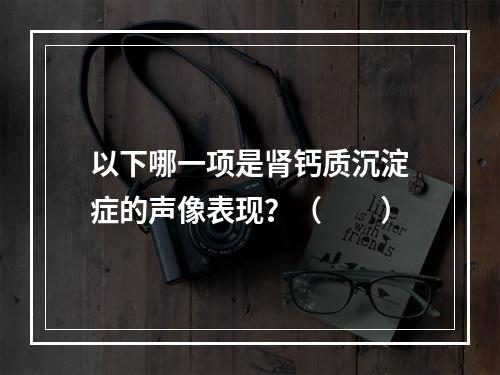 以下哪一项是肾钙质沉淀症的声像表现？（　　）