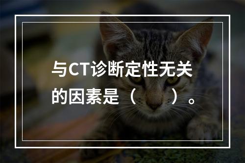 与CT诊断定性无关的因素是（　　）。