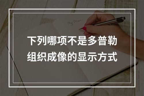 下列哪项不是多普勒组织成像的显示方式