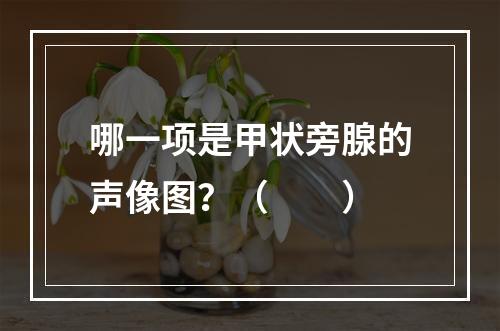 哪一项是甲状旁腺的声像图？（　　）