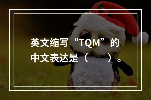 英文缩写“TQM”的中文表达是（　　）。