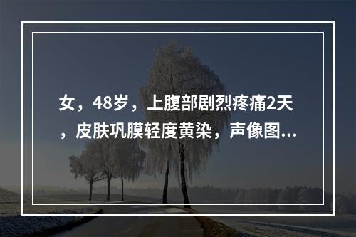 女，48岁，上腹部剧烈疼痛2天，皮肤巩膜轻度黄染，声像图如图