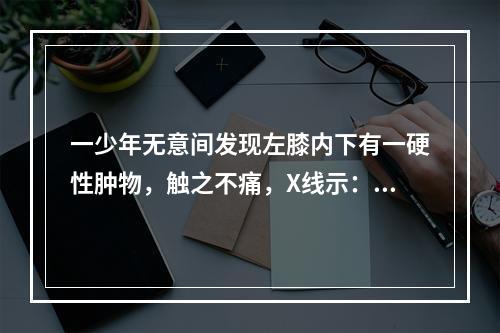 一少年无意间发现左膝内下有一硬性肿物，触之不痛，X线示：左胫