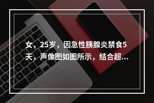 女，25岁，因急性胰腺炎禁食5天，声像图如图所示，结合超声声