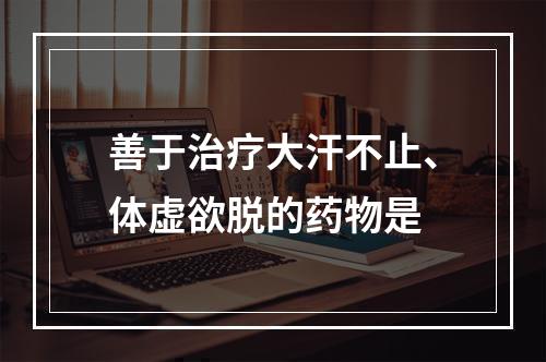 善于治疗大汗不止、体虚欲脱的药物是