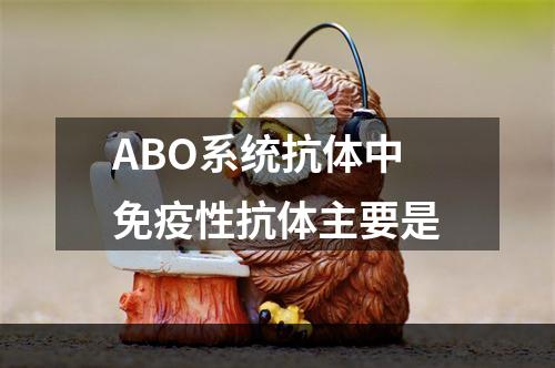 ABO系统抗体中免疫性抗体主要是