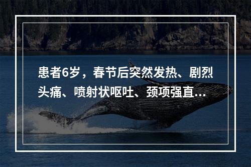 患者6岁，春节后突然发热、剧烈头痛、喷射状呕吐、颈项强直。