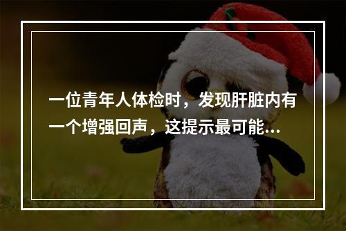 一位青年人体检时，发现肝脏内有一个增强回声，这提示最可能是