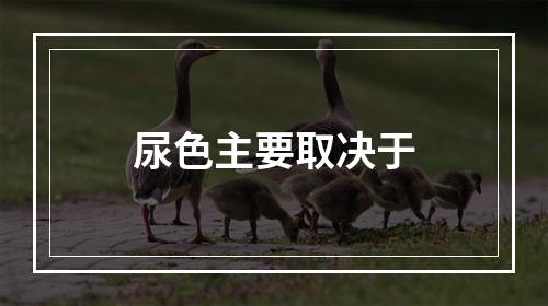 尿色主要取决于