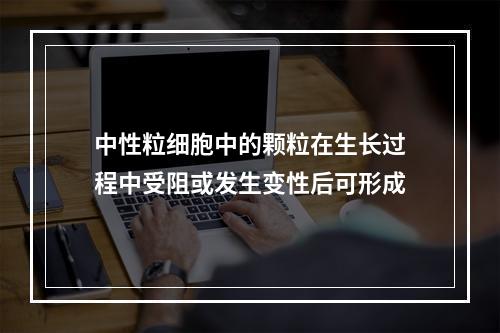 中性粒细胞中的颗粒在生长过程中受阻或发生变性后可形成