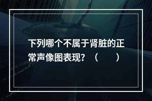 下列哪个不属于肾脏的正常声像图表现？（　　）