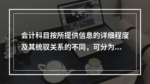 会计科目按所提供信息的详细程度及其统驭关系的不同，可分为（