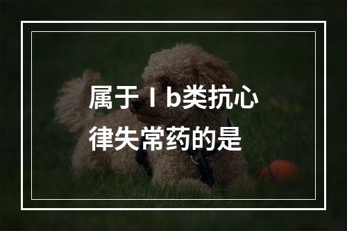 属于Ⅰb类抗心律失常药的是