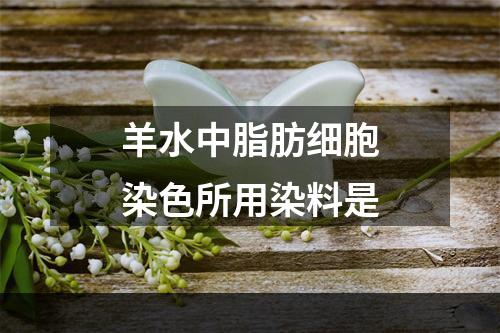 羊水中脂肪细胞染色所用染料是