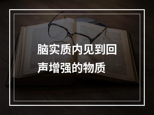 脑实质内见到回声增强的物质